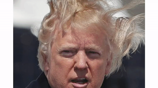 WTF Was That: the 43 Most Ridiculous Moments of the 2010s