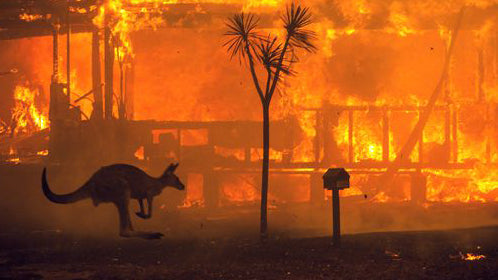 Climate Change is Real: Some Ways to Help Australia