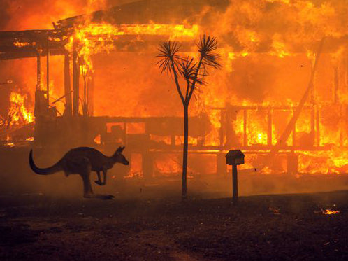 Climate Change is Real: Some Ways to Help Australia