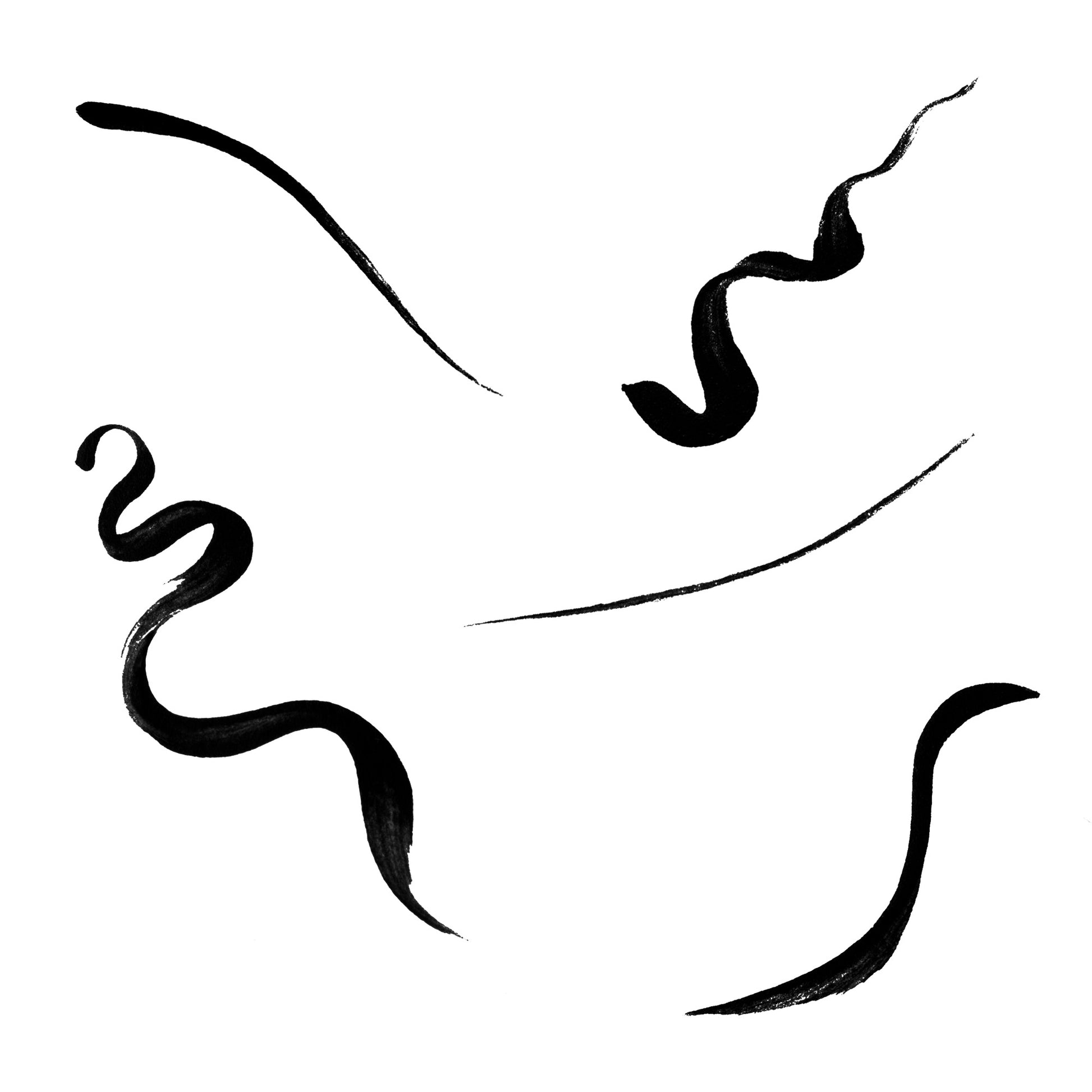 Lashrocket Liner